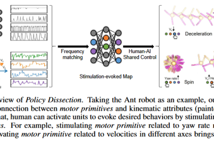 Human-AI Shared Control via Policy Dissection